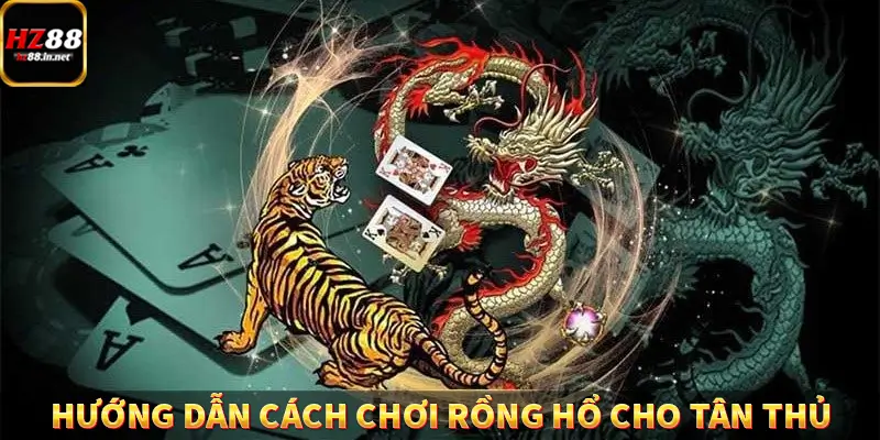 Hướng dẫn cách chơi rồng hổ cho tân thủ