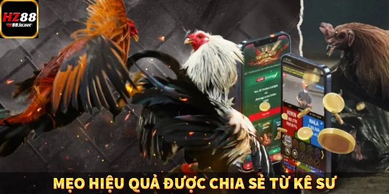 Mẹo hiệu quả được chia sẻ từ kê sư