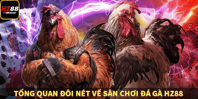 Tổng quan đôi nét về sân chơi đá gà HZ88
