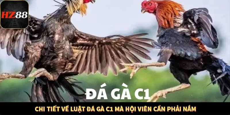 Game Bài Mới Nổi Xu Hướng Cá Cược 2025 12 Chi tiết về luật đá gà C1 mà hội viên cần phải nắm