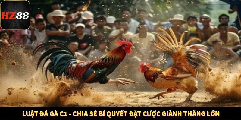 Luật Đá Gà C1 - Bí Quyết Đặt Cược Giành Giải Thưởng Lớn 10 Luật Đá Gà C1 - Chia Sẻ Bí Quyết Đặt Cược Giành Thắng Lớn