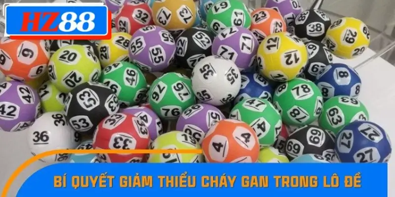 Mẹo hạn chế cháy gan trong lô đề hiệu quả nhất