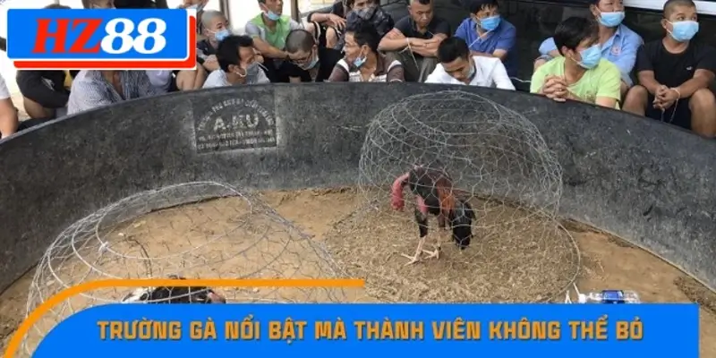 Trường gà Komphong Cham